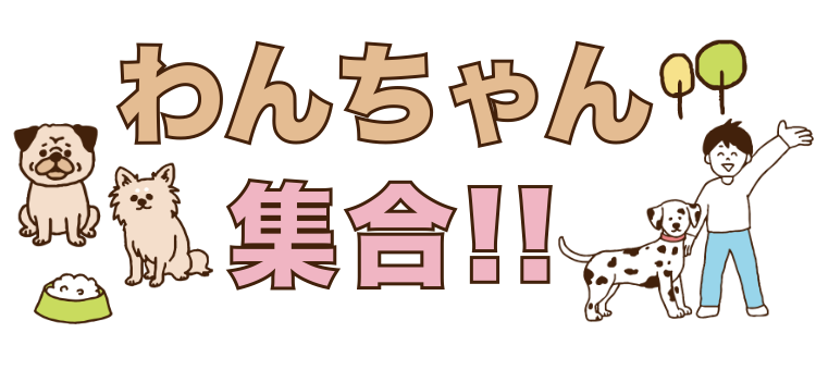 カワイイがいっぱい！ワンダーランド